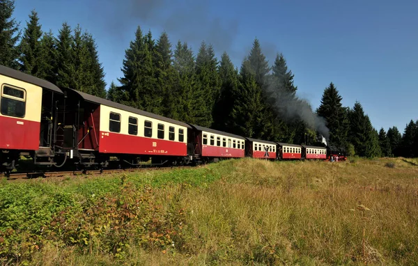 Pociąg Górach — Zdjęcie stockowe