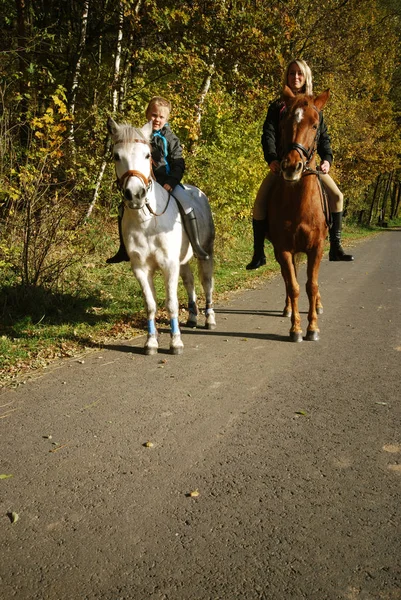 Jovem Mulher Montando Cavalo Parque — Fotografia de Stock