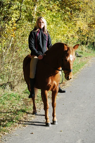 Young Woman Horse Park — Stock Photo, Image