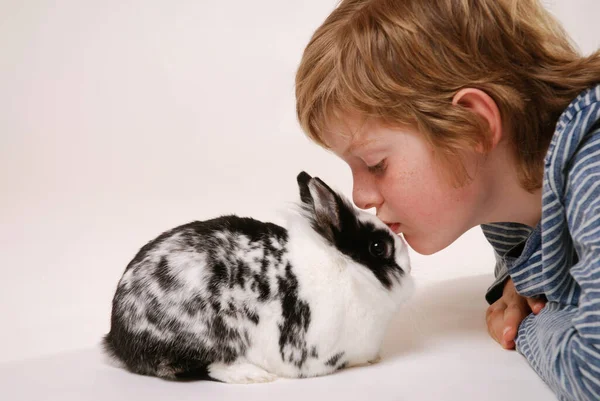 Cute Child Portrait Happy Childhood Concept — Stock Photo, Image