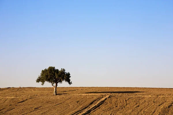 Vue Pittoresque Sur Les Paysages Campagne — Photo