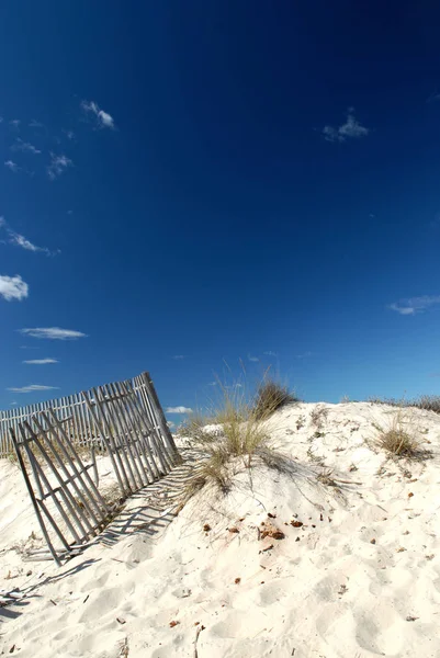 Scenic View Dunes Selective Focus — Stock Photo, Image