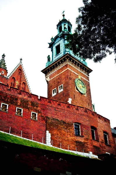 Catedral Colina Wawel Campo Tierra Cultivo — Foto de Stock