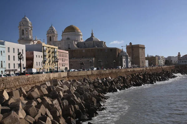 Cathedral Promenade Cadiz — Stockfoto