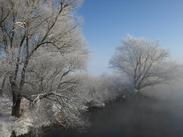 Morgennebel — Stockfoto