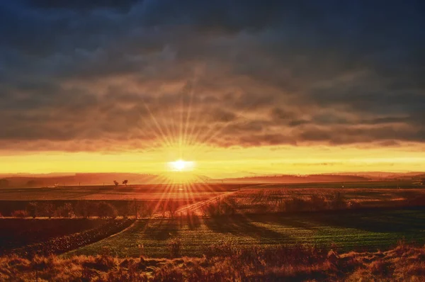 Pôr Sol Waldviertel — Fotografia de Stock