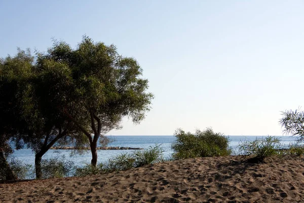 Písečná Pláž Limassolu Západ Slunce — Stock fotografie