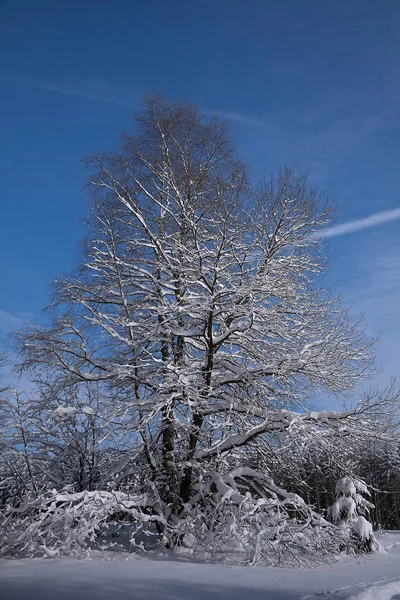 Bayern Vackert Landområde Tyskland — Stockfoto