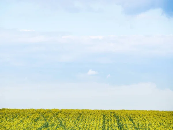 Paisagem Campo Agrícola Terra Rural — Fotografia de Stock