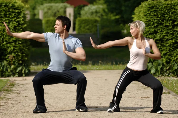 Young Couple Doing Yoga Park — Stock Photo, Image