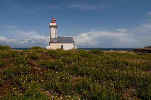 Pointe Des Poulains 307 — Fotografia de Stock