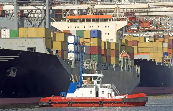 Containerterminal Haven Van Hamburg — Stockfoto