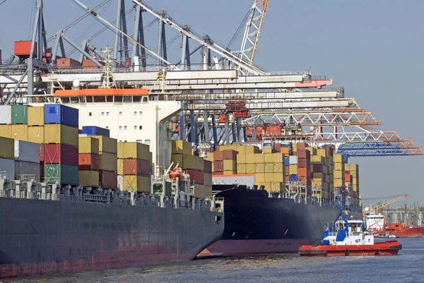 Containerterminal Haven Van Hamburg — Stockfoto