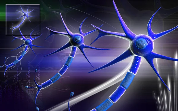 Neuron Illustratie Neurologie Organisme — Stockfoto