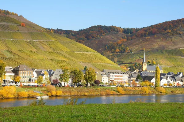 Moselle Zeltingen — Stok fotoğraf