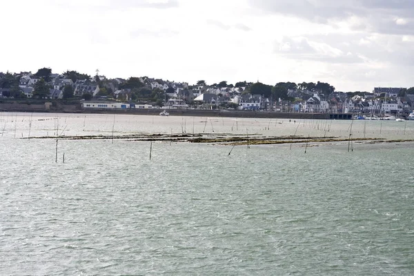 Trinite Sur Mer 438 — Stok fotoğraf