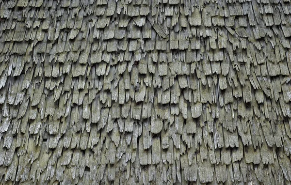 Texture Shingle Roof — Stock Photo, Image