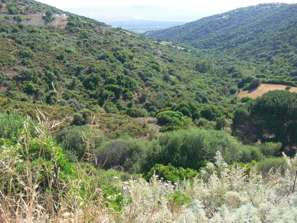 Landskap Sardinia — Stockfoto