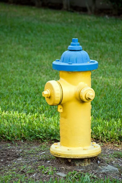 Hydrant Pożarowy Parku — Zdjęcie stockowe