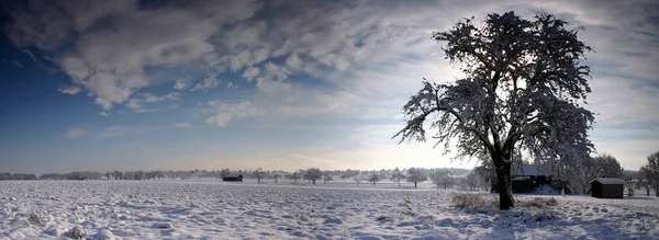 Pittoresca Vista Sul Paesaggio Invernale Innevato — Foto Stock