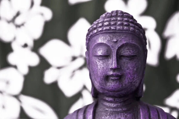 仏教文化と精神性 釈迦牟尼仏 — ストック写真