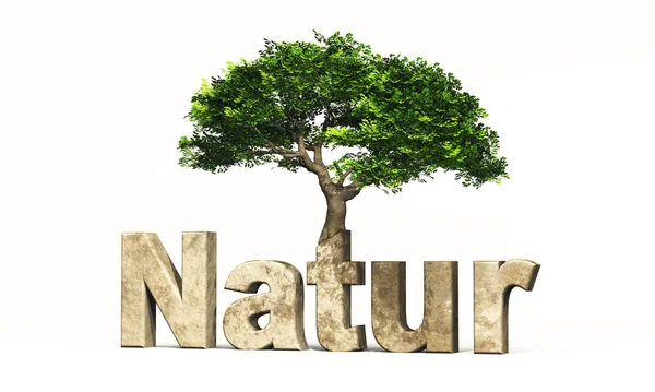 木と3D自然雑誌 — ストック写真