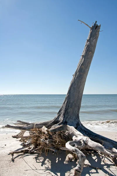 Vacker Lugn Strand Resebegrepp — Stockfoto