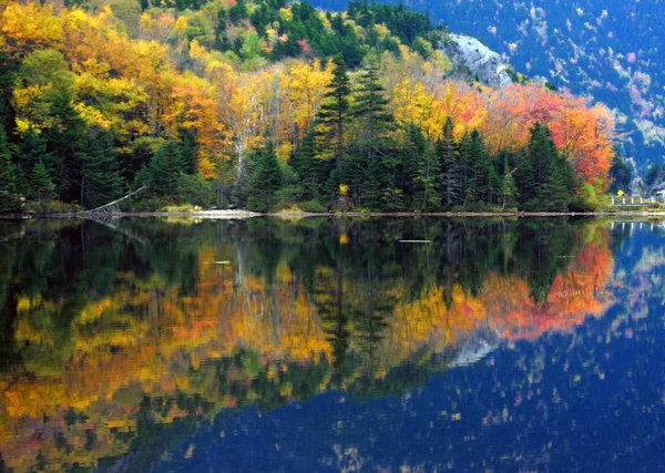 Follaje Otoño Hojas Temporada Otoño — Foto de Stock