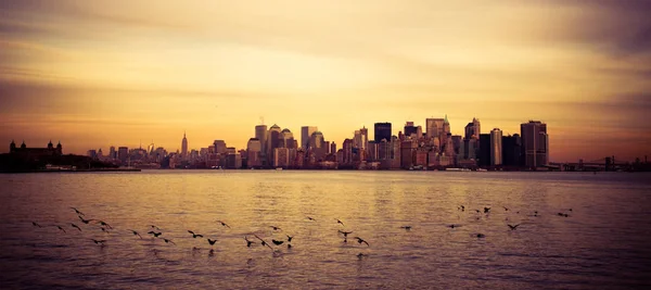 Distrito Financeiro Nova York Poteic Com Pássaro — Fotografia de Stock
