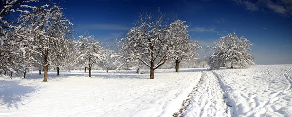 Pittoresk Utsikt Över Snötäckta Vinterlandskap — Stockfoto