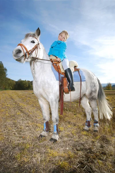 昼間の馬乗りの肖像 — ストック写真