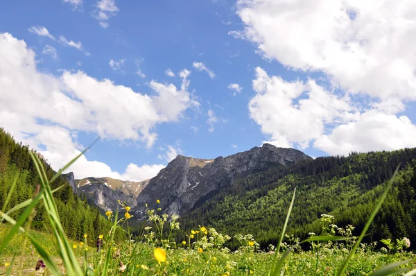 Vista Panorâmica Bela Natureza Paisagem Montanhosa — Fotografia de Stock