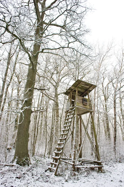 Schöne Aussicht Auf Die Winterlandschaft — Stockfoto