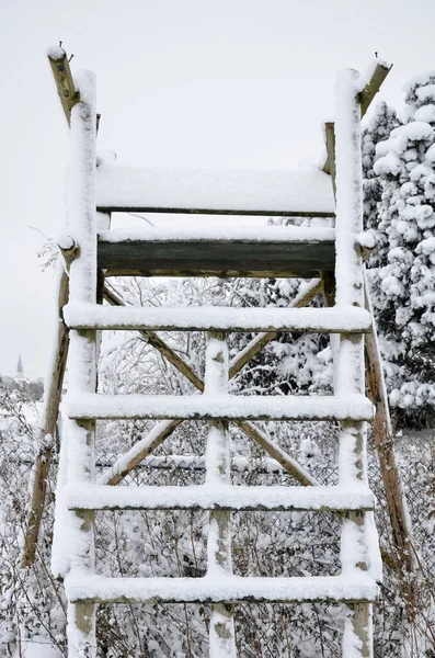 Bella Vista Del Paesaggio Invernale — Foto Stock