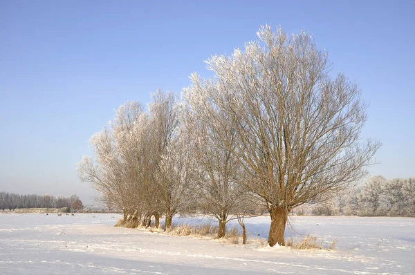 Hermosa Vista Naturaleza Escena — Foto de Stock