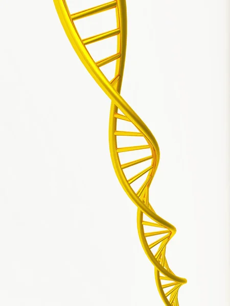 Genetica Gene Cromosoma Cellule Del Dna — Foto Stock