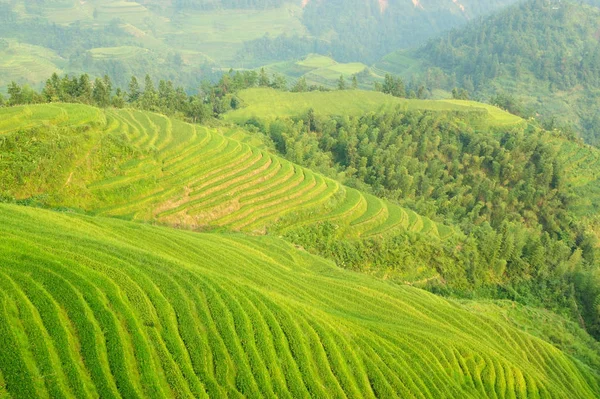 Paisagem Campo Agrícola Terra Rural — Fotografia de Stock