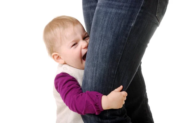 Portrait Happy Family Kinship Concept — Stock Photo, Image