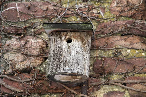 鳥の家や小さな家 — ストック写真