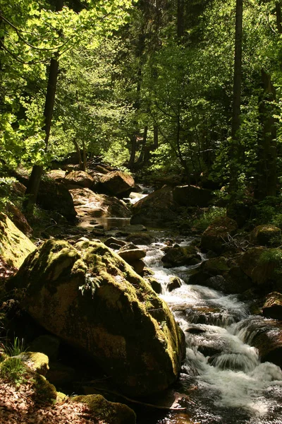 Cachoeira Natureza Fluxo Água — Fotografia de Stock