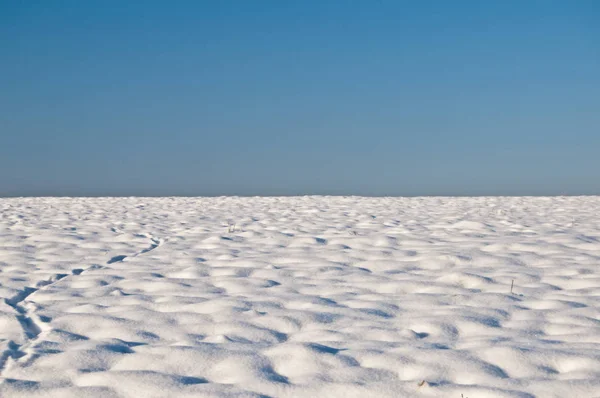 Zasněžená Krajina Zimě — Stock fotografie