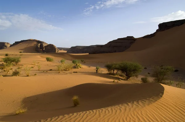 Natura Paesaggistica Del Canyon Formazione Geologica — Foto Stock