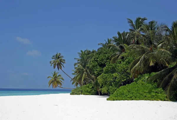 Makunudu Island Maldives Stock Photo