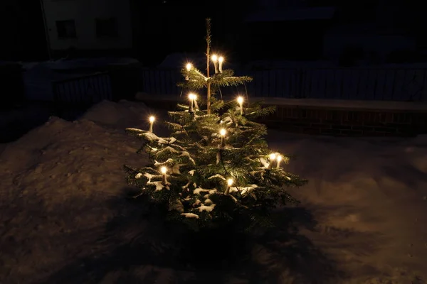 Festive Christmas Tree Holiday Decorations — Stock Photo, Image