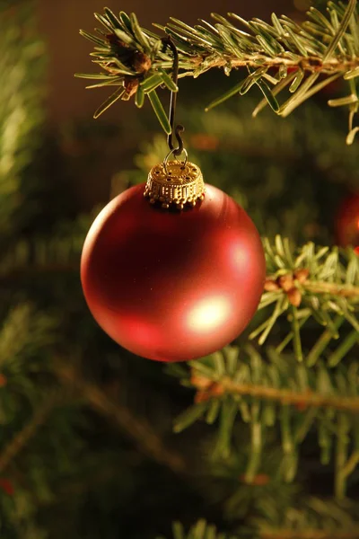 Festivo Albero Natale Decorazioni Vacanze — Foto Stock