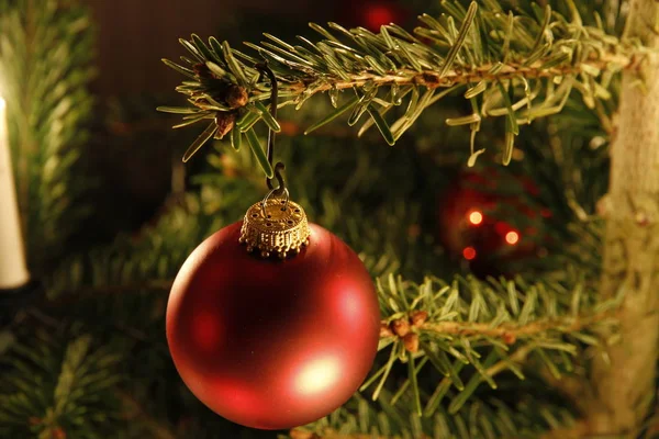 Γιορτινή Διακόσμηση Χριστουγεννιάτικων Δέντρων — Φωτογραφία Αρχείου