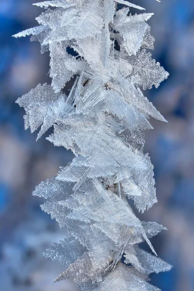 Jégkristályok Téli Fagy — Stock Fotó