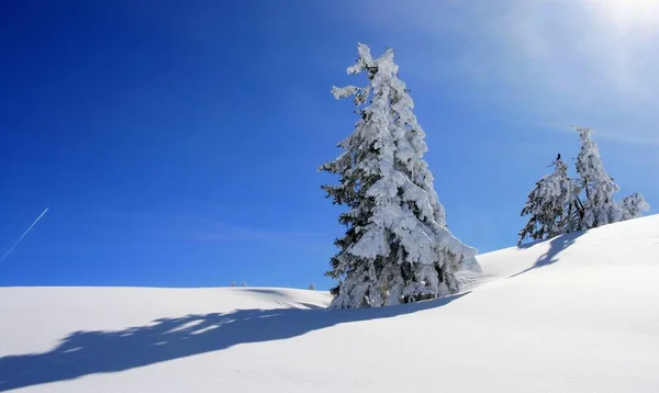 Vacker Utsikt Över Naturen Landskap — Stockfoto