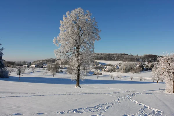 Hermosa Vista Del Paisaje Invierno — Foto de Stock