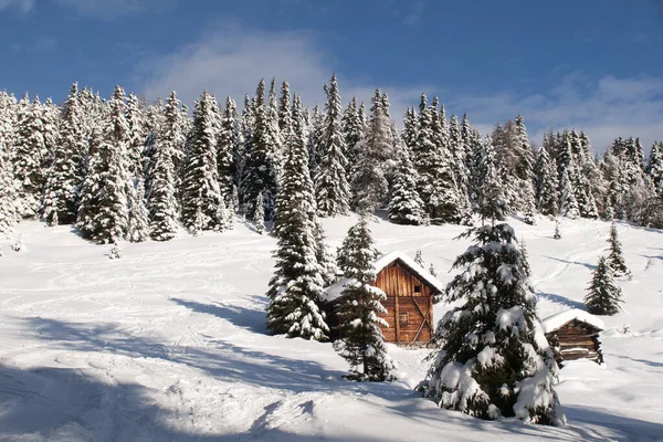 Winterlandschaft Mit Schneebedeckten Bäumen — Stockfoto